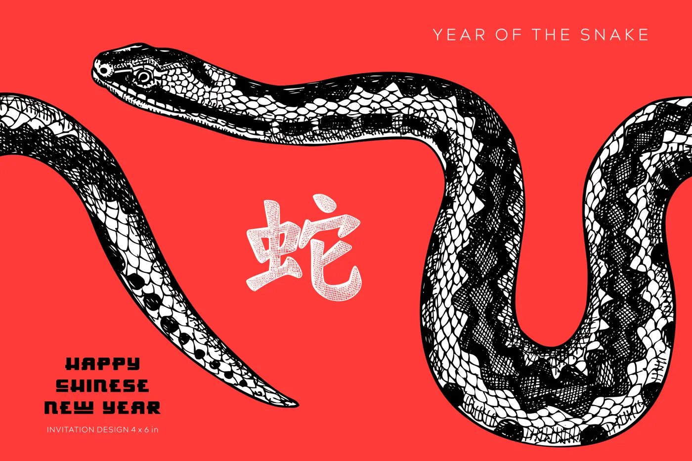 Chinese New Year 2025 greeting card template. Year of the snake invitation design. Hand drawn snake illustration. NOT AI generated Illustration